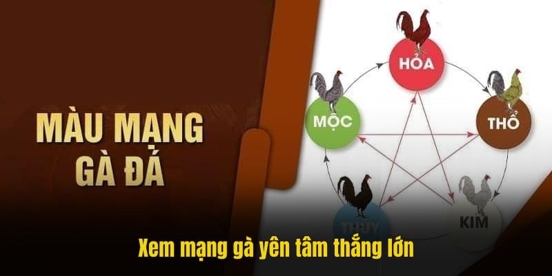 Xem màu mạng gà đá yên tâm thắng lớn