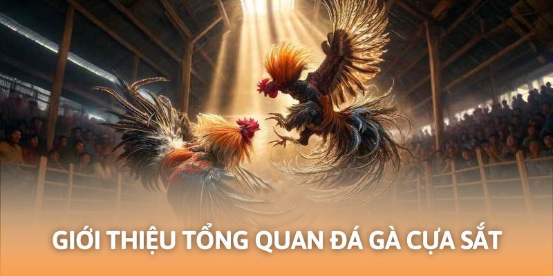 Tổng quan đá gà cựa sắt