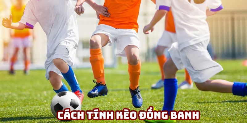 Hướng dẫn tính tiền kèo cược đồng banh chính xác
