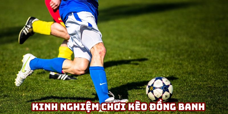 Mẹo cá cược dễ thắng nhất cho người mới